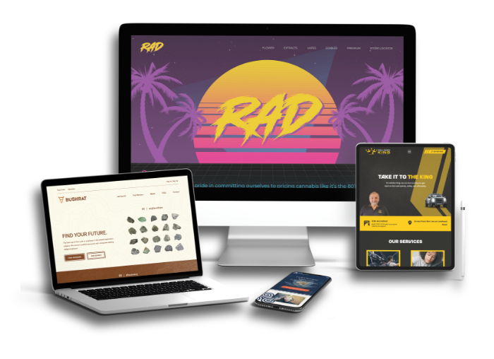 Website design and development examples