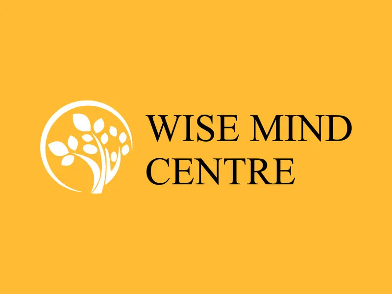 wise mind cover