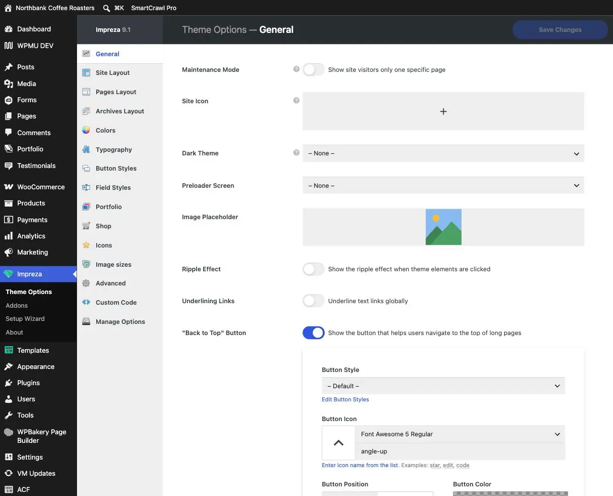 The Theme Options screen with Maintenance Mode at the top and a sidebar listing Colors, Typography, Button Styles and other site-wide settings