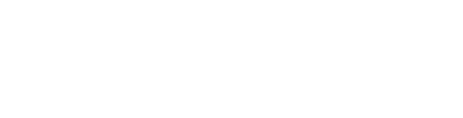 Velvet Theory logo
